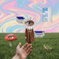 VHS - schizophrenia.