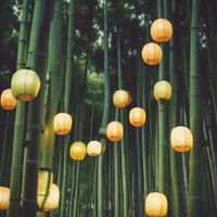 Policy - Tâm Tư Trong Đêm