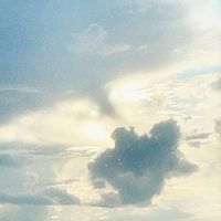 Otto - 25% (Explicit)