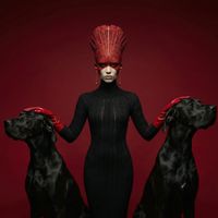 Neo - Skyfall (Remix)