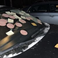 TravelDept. - you owe me a car wash.