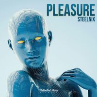 SteelniX - Pleasure