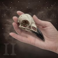 Tori Sparks - Cabinet of Curiosities, Vol. 2 (Explicit)