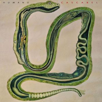 Humano - Cascabel