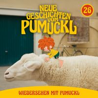 Pumuckl - 26: Wiedersehen mit Pumuckl (Neue Geschichten vom Pumuckl)