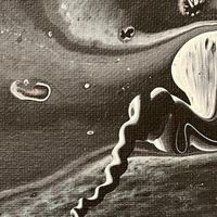 ZipZapZop - Pandemic Outer Space Jams, Pt. 2