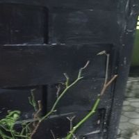 albert - ku coba jalani