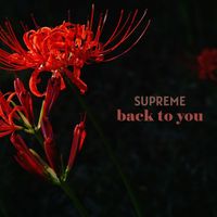 Supreme - Back to You
