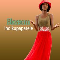 Blossom - Indikupapatele