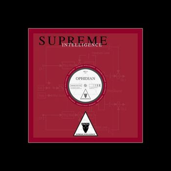 Ophidian - SIN 15