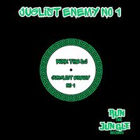 WINK THE DJ - Junglist enemy No 1