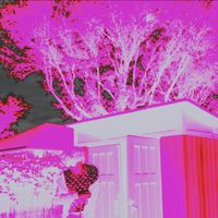 samii - highschool (Explicit)