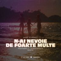 Dinu Olarasu - N-ai nevoie de foarte multe (Pado&Belu Tennebreck Remix Extended)