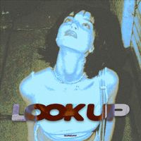 no signal - LOOK UP