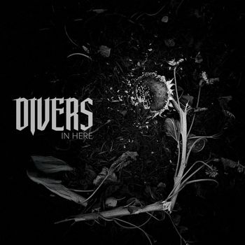 Divers - In Here