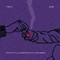 Teca - sintituloperocontunombre