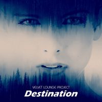 Velvet Lounge Project - Destination