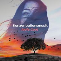Aiofe Coot - Konzentrationsmusik