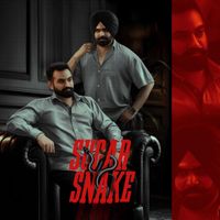 Onkar Dhillon - Sugar Snake