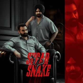 Onkar Dhillon - Sugar Snake