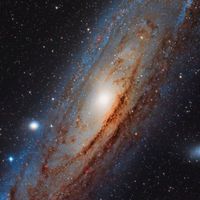 Capo - Andromeda