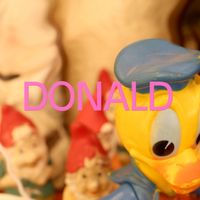 Karli - Donald