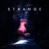 Chill Insider - Stange