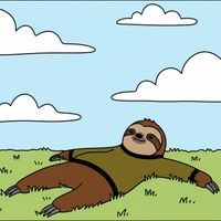 Sleepy Sloth - not thinking about you, just lying around