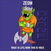 Zeom - What Is Life/Now This Is Voice