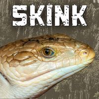 Levity Beet - Skink