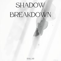 Dollar - Shadow Breakdown