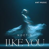 NOCTIS - Like You