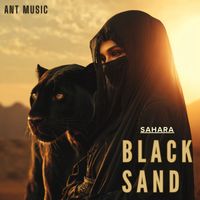 Sahara - Black sand