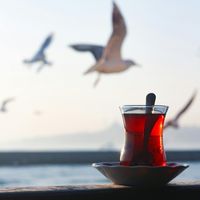 Macrogenre - Glass & Salt Air