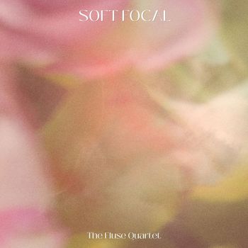 The Fluse Quartet - Soft Focal
