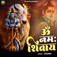 Krishna - Om Namah Shivay
