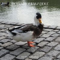 The Duck Quartet - Downbeat Waddle