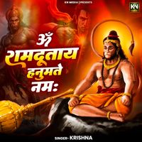 Krishna - Om Ramdutay Hanumate Namah