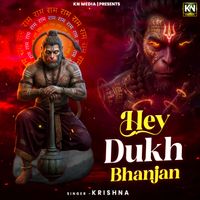 Krishna - Hey Dukh Bhanjan