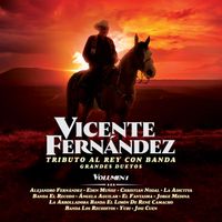 Vicente Fernández - Tributo al Rey Con Banda (Grandes Duetos Vol. 1)