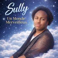 Sully - Un monde merveilleux