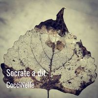 CocciNelle - Socrate a dit