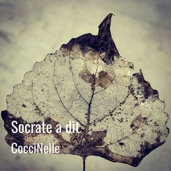 CocciNelle - Socrate a dit