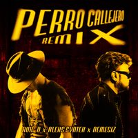 RUK-O, Aleks Syntek - Perro Callejero (Remix [Explicit])