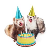 weeb! - happy bday weeb! (Explicit)