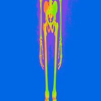 VHS - Growing Up Is a Trap