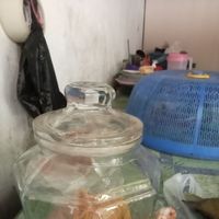 Maya - Masih rindu
