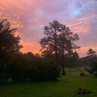 William Christie - You'll Always Have Me