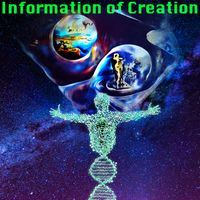 Tristan Dominguez - Information of Creation