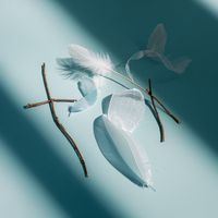 Gila - Sueños Disueltos